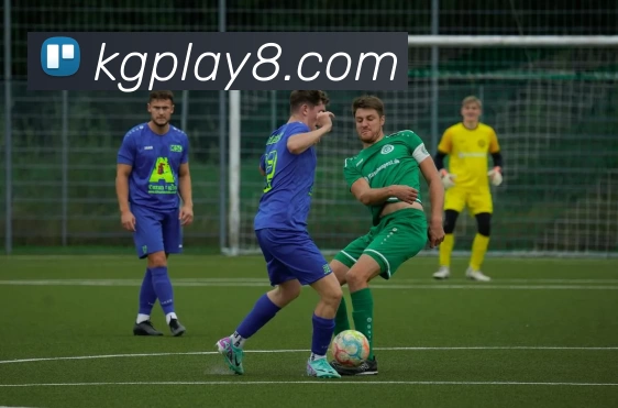 App Interface Preview